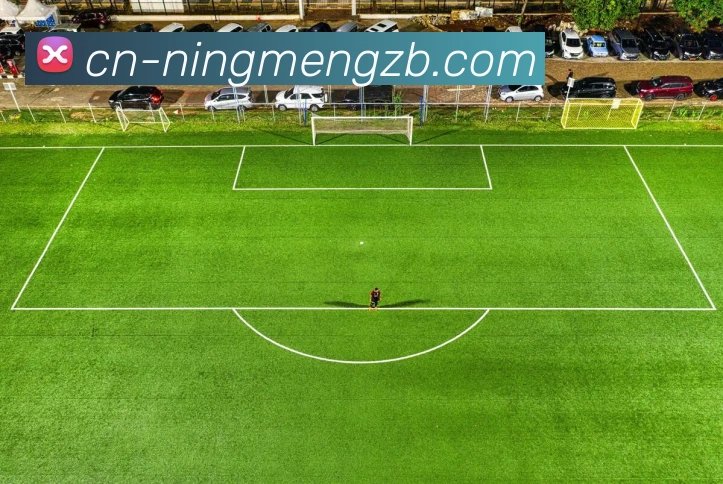 多媒体互动体验